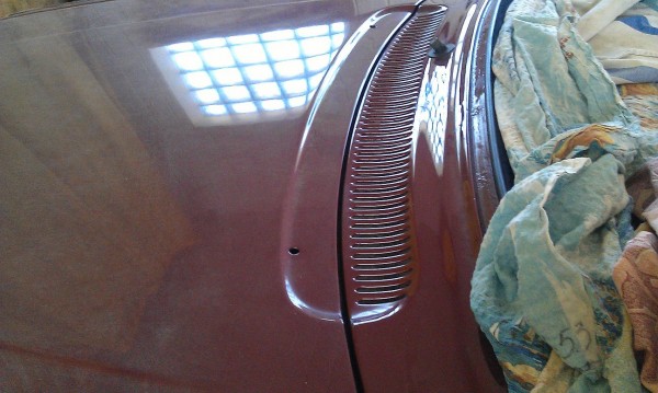 IMAG0824.jpg