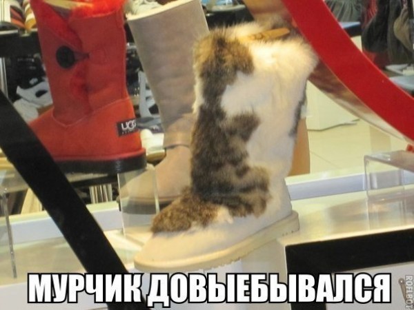 1410841628_podb_09.jpg