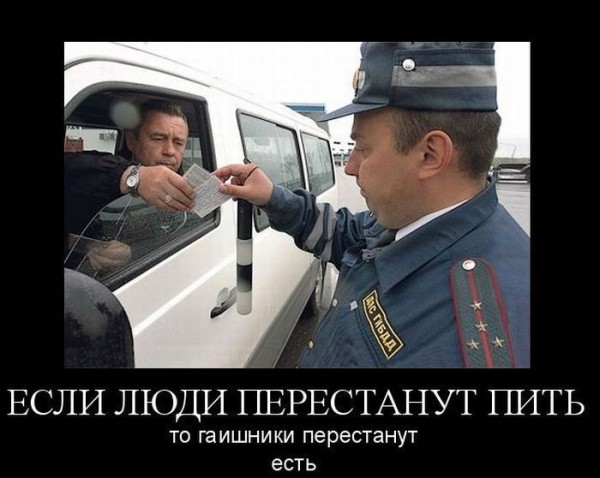 1412578153_demotivatory_02.jpg