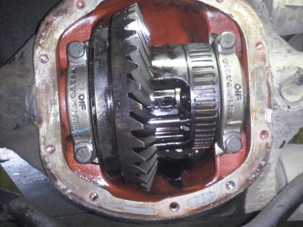 CAM00037.jpg