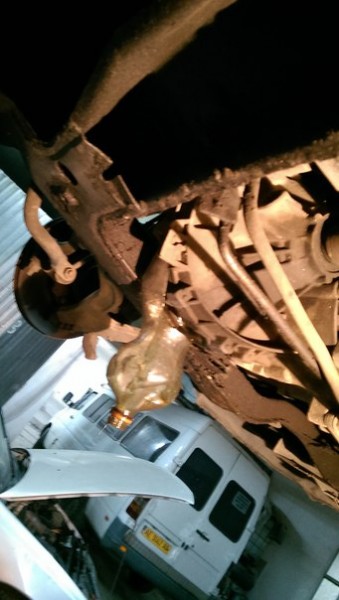 eFV31pAgsrU.jpg