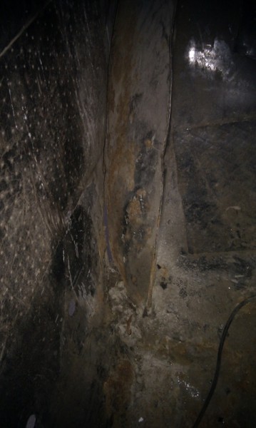 1df0ec8s-480.jpg