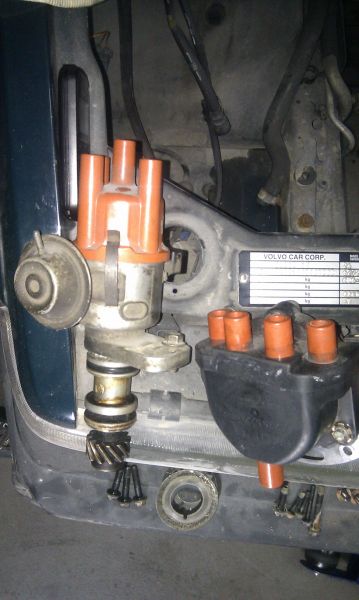 IMAG0567.jpg
