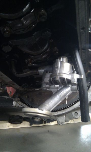 IMAG0576.jpg