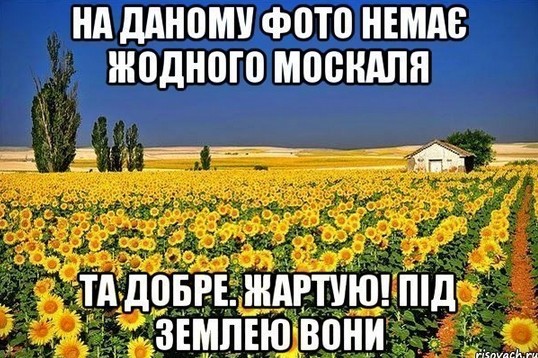 jrj5yekrak6v.jpg