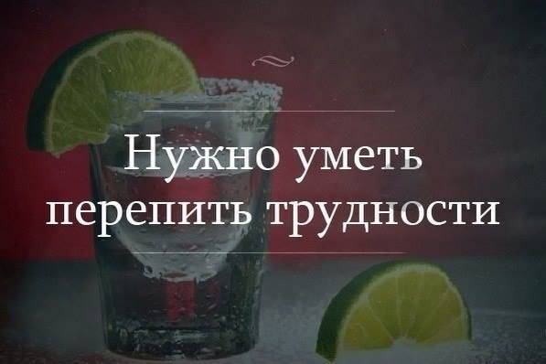 294392_769371.jpg