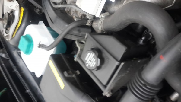 20150119_112601.jpg