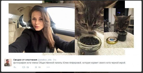 Снимок.JPG