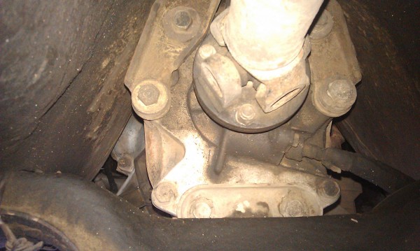 IMAG0099.jpg
