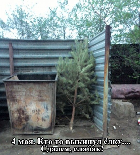 1430893881_podborka_40.jpg