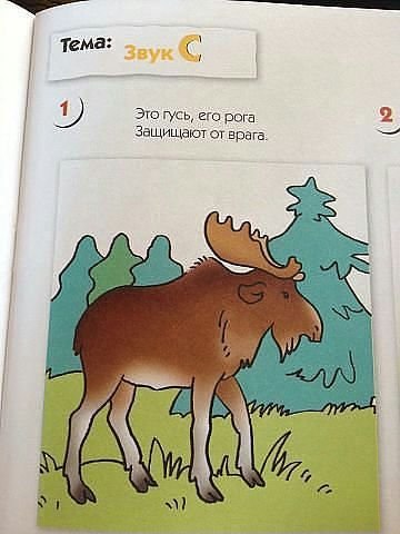 гусь-1560564.jpeg