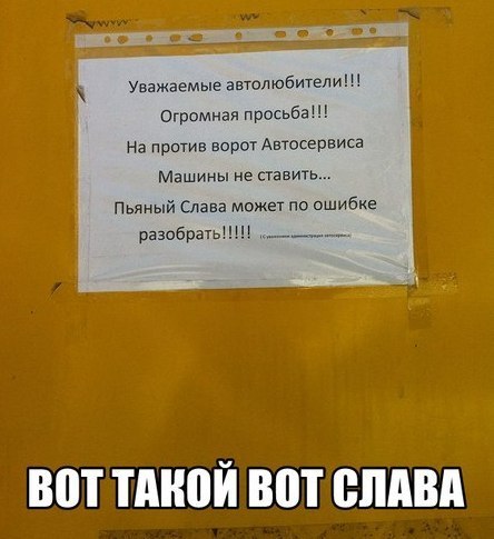 jcUaqDbq85M.jpg