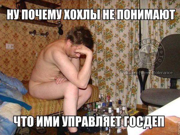 bober.jpg