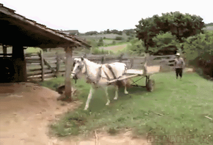 72e4912499e2c3763e4be408ff5.gif