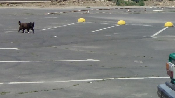 image.jpg