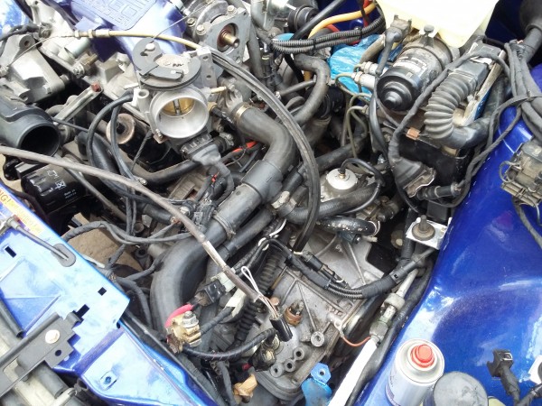 20150621_183502.jpg