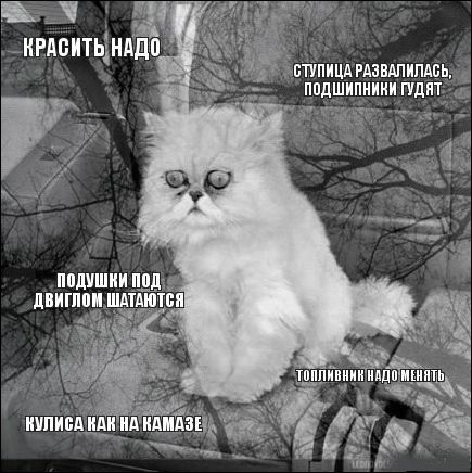 avtoprikol-032.jpg