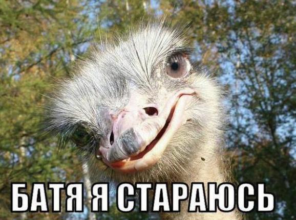 i-batya.jpg
