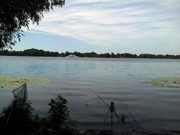 IMG_20150704_115358.jpg