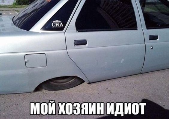 1428328535_avtoprikoly-2.jpg