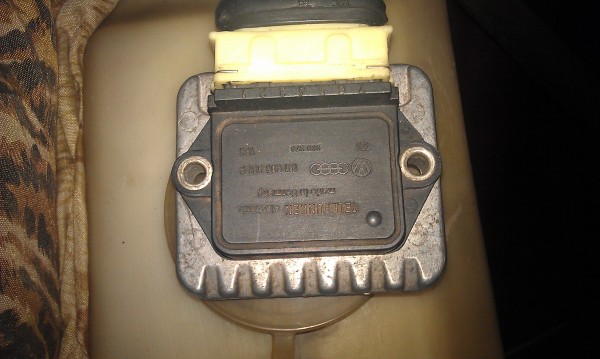 IMAG2569.jpg