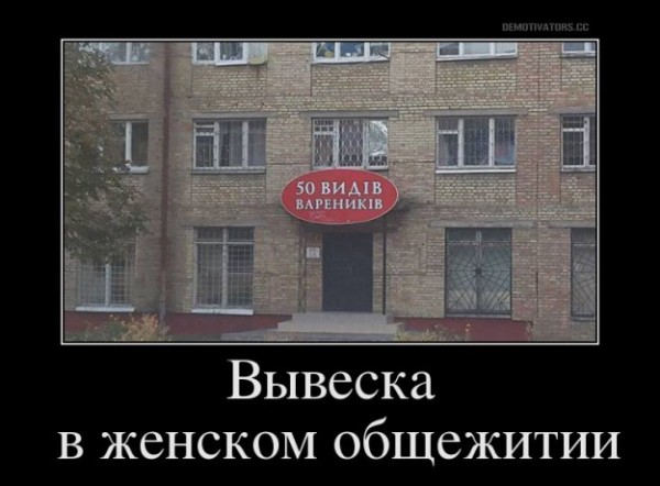 305523_849553.jpg