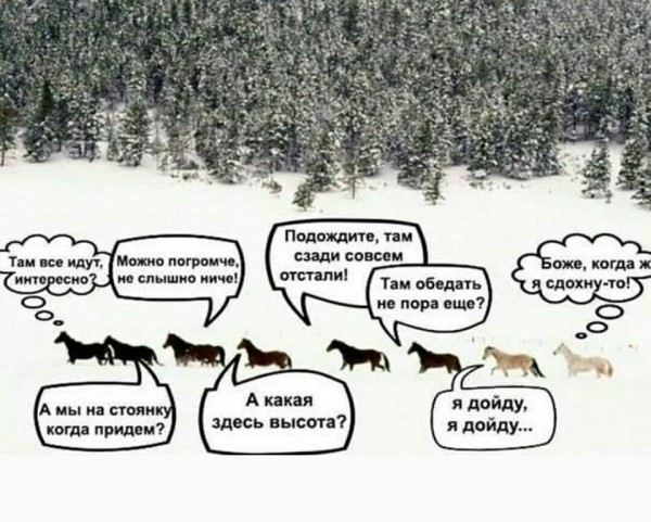 дальняк_группа.jpg