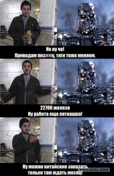 7310207.jpg