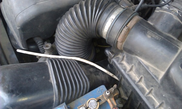 IMAG0555.jpg