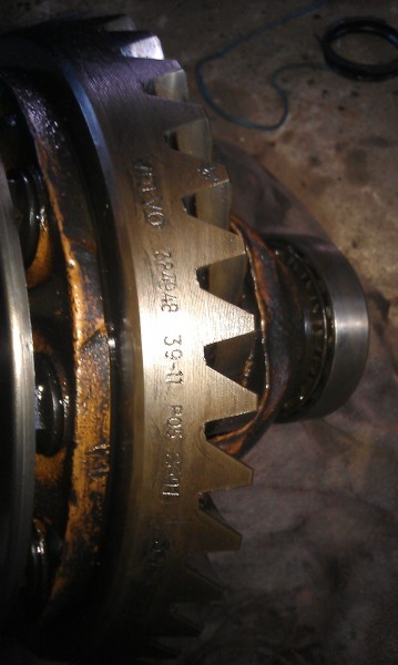 IMAG3795.jpg