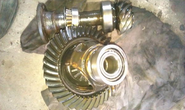 IMAG3796.jpg