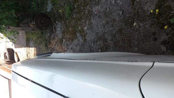 20170607_091307[1].jpg