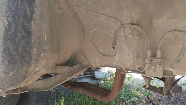 20170607_070655[1].jpg