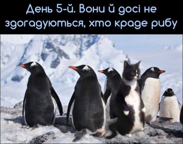 27336978_953756648126805_8152843631772485734_n.jpg