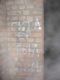 time_IMG_2921.jpg
