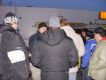 turt_DSC09799.jpg