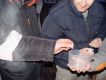 turt_DSC09802.jpg