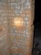 turt_DSC09810.jpg