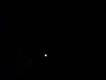 turt_DSC09816.jpg