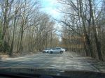 DSC08844.JPG
