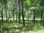 IMG_0003~0.JPG