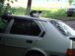 DSC00246.JPG