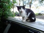 DSC00248.JPG