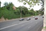 DSC_0442.JPG